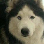 Bigjohn Allerton - @bigjohnallerton - Instagram