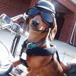 John Allmon Sandman - @sandman598 - Instagram