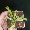 johnAllora_0 - @johna45.9 - TikTok