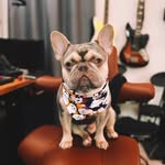 John Almazan - @thejohnalmazan - Instagram