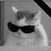 Almer John Tabajo - Facebook