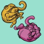 John Aloisio 3 - @frog.jacket.3 - Instagram