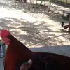 John Altamiranda - @john.altamiranda - TikTok