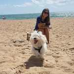 John John Araujo Maltes - @johnjohnaujomaltes - Instagram