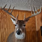 John Althaus - Facebook