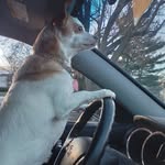 John Altland - @altlandjohn41 - Instagram
