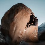 John Alvino - @johnalvino - Instagram