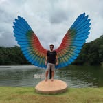 john Alison - @john_alyso - Instagram