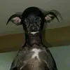 JJA - @johnamador05 - TikTok