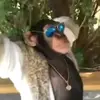 john aman - @john.hdd - TikTok
