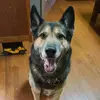 John Aman - @john.aman6 - TikTok