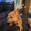 John Amann - @john.amann2 - TikTok
