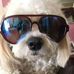 John Amerman - Facebook