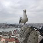 John Ames - @johnames20 - Instagram