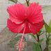 John Anand - Facebook