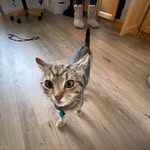 John Anderton - @bestjohnintheworld - Instagram
