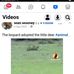 John Andrea - Facebook