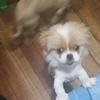 John andree - @andree.cusco - TikTok