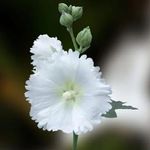 @andrick_john_ - Instagram