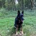 John Angelucci - Facebook