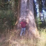 John Annis - @johnannis3442 - Instagram