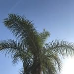 Joshua John Annison - @annisonjoshuajohn - Instagram