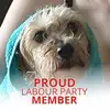 John Hansted - @john.hansted - TikTok