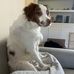 Jon Antle - Facebook