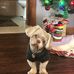 John Antolik - Facebook
