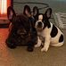John Antonacci - Facebook