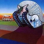 John Ardizzone - @john.ardizzone.568 - Instagram
