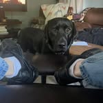 John Arent - @arent4047 - Instagram