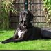 John Arlt - Facebook