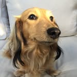 John Arlt - @arlt.john - Instagram