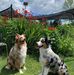 John Arrigo - Facebook