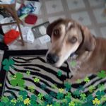 John Arrowood - @john.arrowood.7509 - Instagram