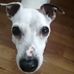 John Arundale - Facebook