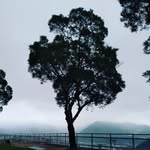 Johnas Tsang - @johnastsang - Instagram