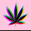 Johnaton Neace - @johnaton.neace - TikTok