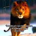 John Augustin - Facebook