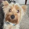 JohnAvantiBK - @johnavanti_bklyn - TikTok