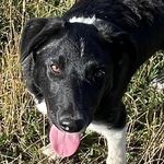 @john_average - Instagram
