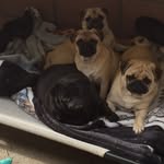 John Avery - @johnavery8205 - Instagram