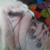 johnayers1 - @john.ayers39 - TikTok