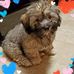 John Azzara - Facebook