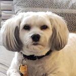 John Azzara - @johnazzara47 - Instagram