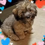 John Azzara - @azzara7451 - Instagram