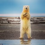 john zazzaro - @zazzarojohn - Instagram
