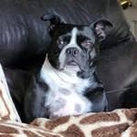 John Babbs - @jbabbs333 - Instagram