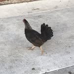 John Baca - @johnbaca420 - Instagram